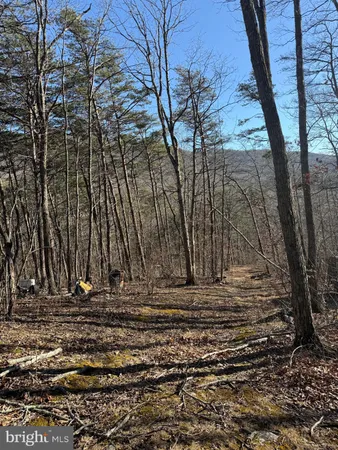 $20,000 | Lot 55 Moreland Gap, Mount Jackson, VA 22842