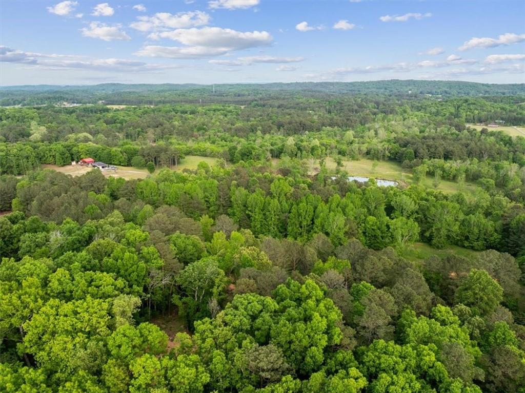 307 Moores Ferry Road Southwest Plainville, GA 30733 - Photo 8 of 14