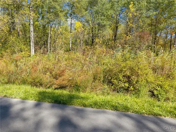 $18,000 | Monahan Place, Oneida, NY 13421