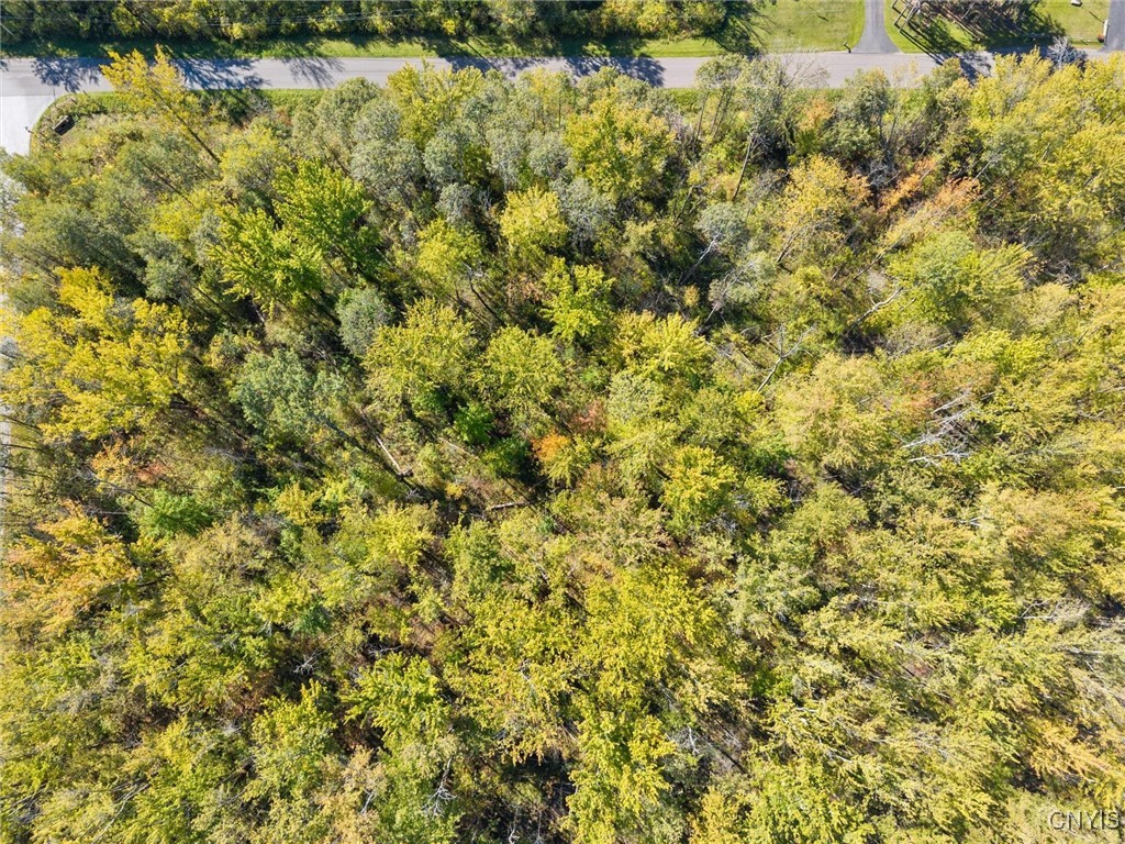 Monahan Place Oneida, NY 13421 - Photo 9 of 9