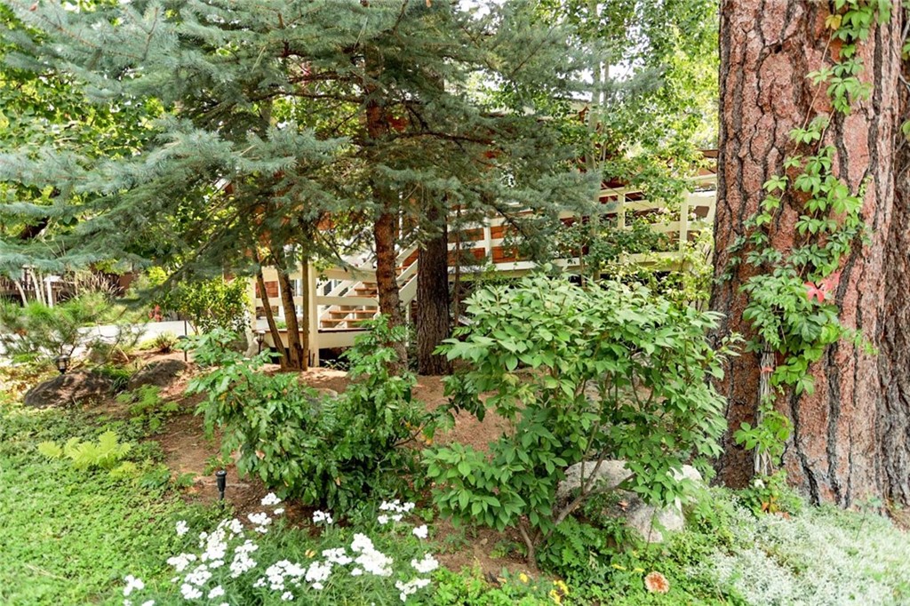 42585 Constellation Drive Big Bear Lake, CA 92315 - Photo 2 of 54