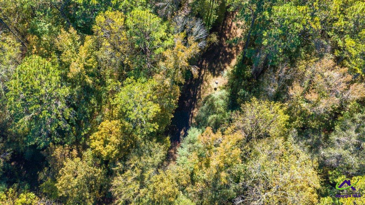 3271 Highway 42 Forsyth, GA 31029 - Photo 28 of 29