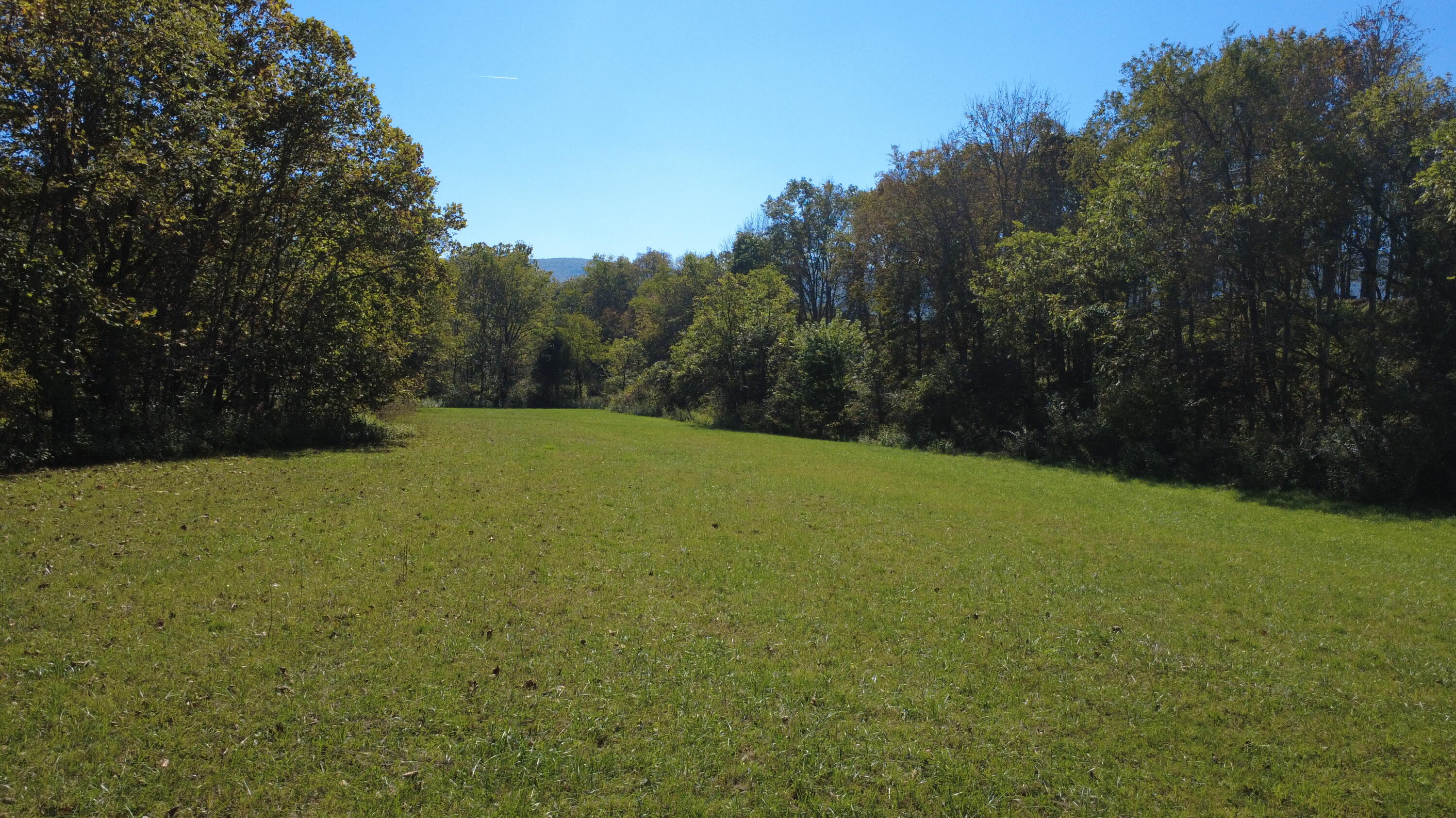 0 Potts Creek Road Covington, VA 24426 - Photo 7 of 15 3+