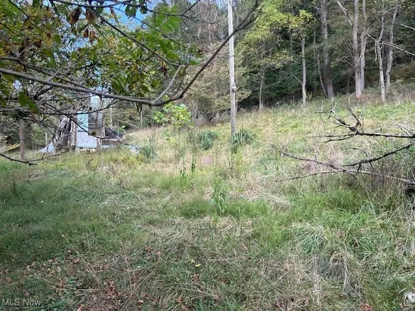 $17,900 | 1990 Meathouse Fork Road, Ravenswood, WV 26164