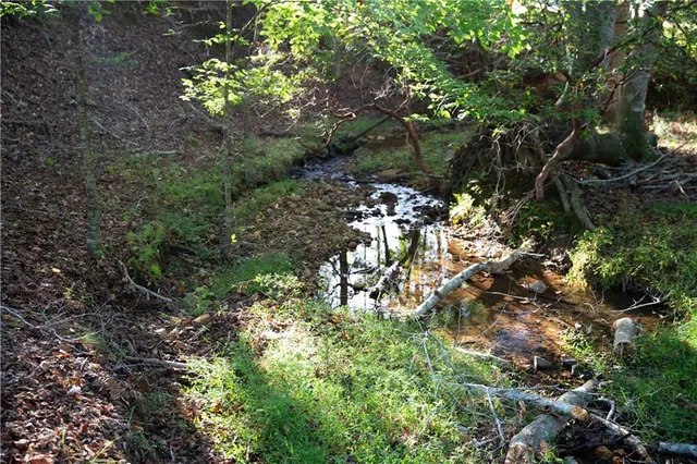 $3,100,000 | 2229 Long Road, Ball Ground, GA 30107