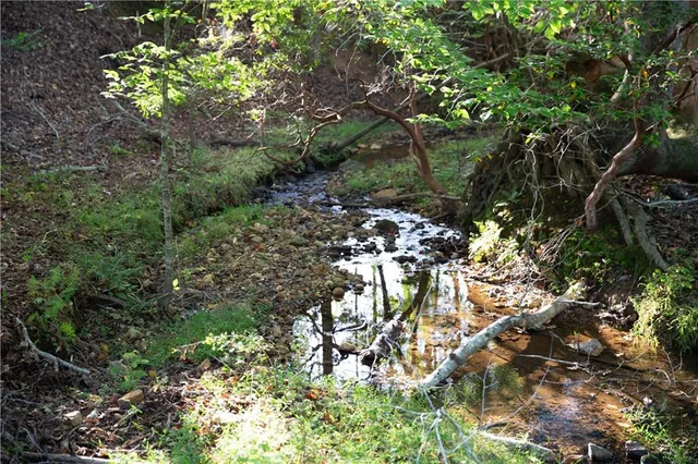 $3,100,000 | 2229 Long Road, Ball Ground, GA 30107