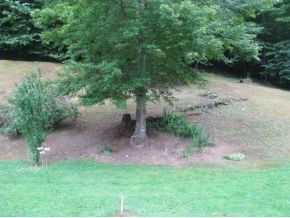 5757 Yuma Road Gate City, VA 24251 - Photo 4 of 22 Photo 4