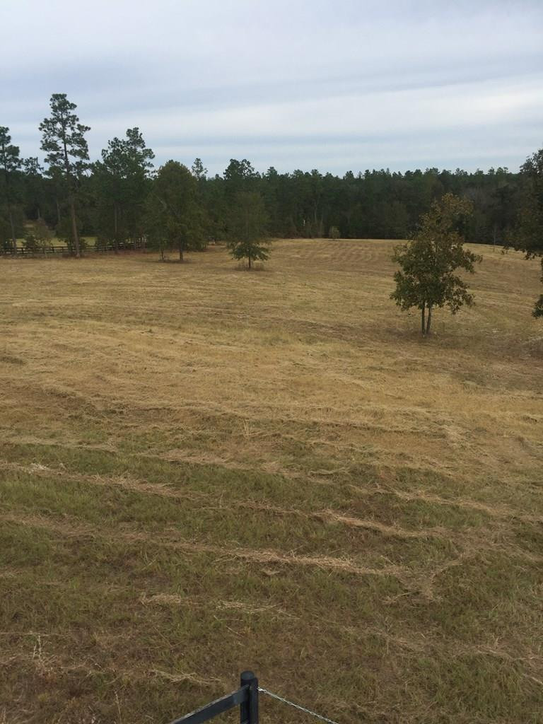 0 Anderson Pond Road Aiken, SC 29803 - Photo 2 of 3