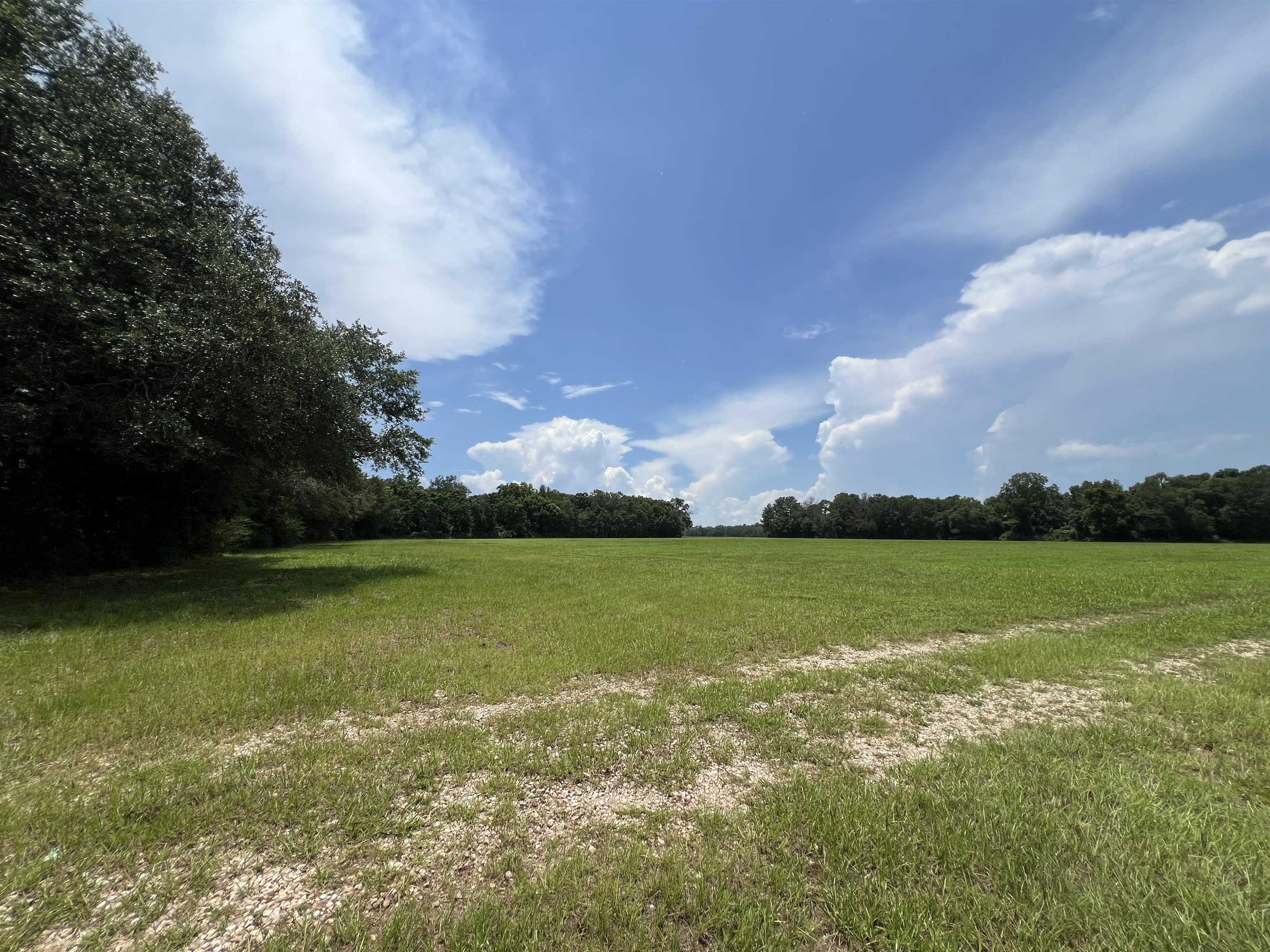 Xx Xx Max Herrin Road Quincy, FL 32352 - Photo 40 of 46