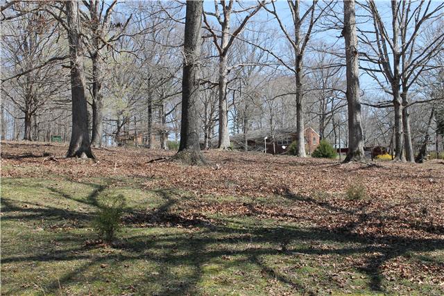 7114 Anglin Road Fairview, TN 37062 - Photo 3 of 4 Gallery Image 3
