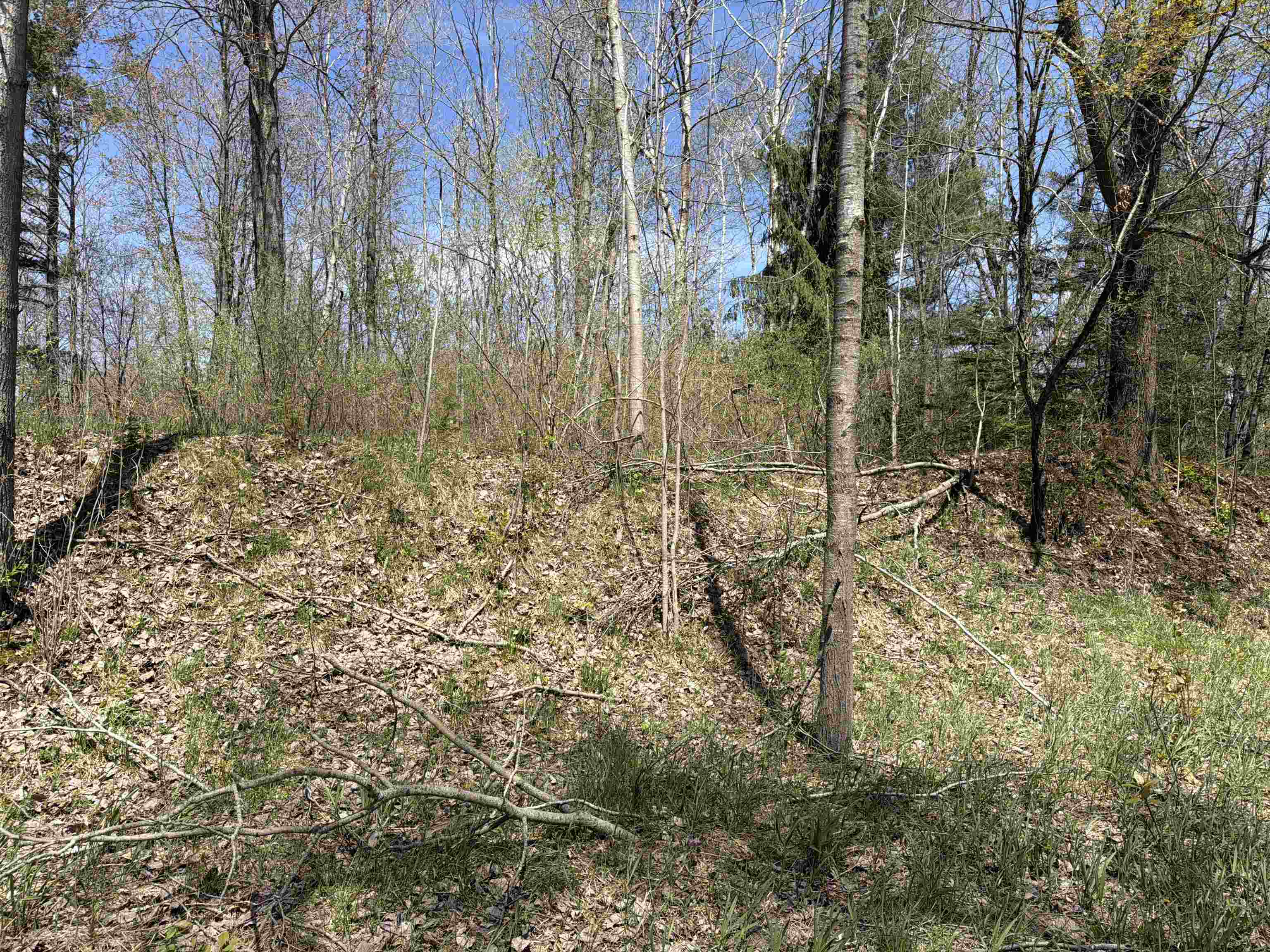 11310 West Rosebush Road Weidman, MI 48893 - Photo 3 of 12