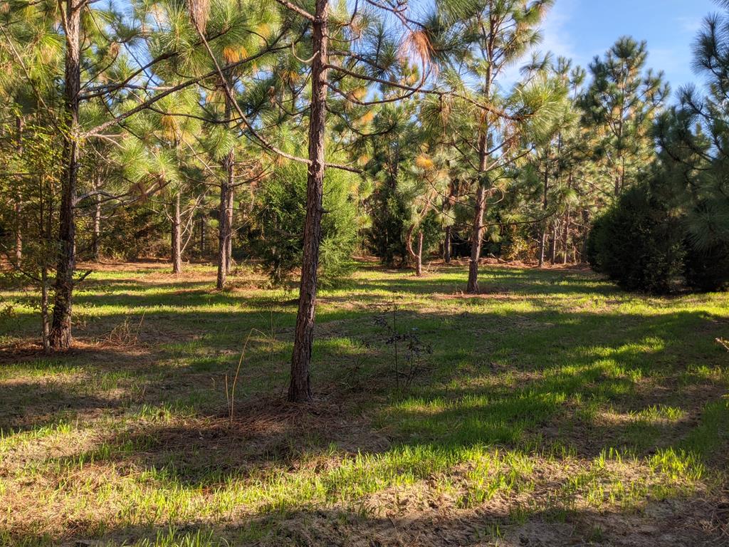 785 Nobles Road Cottonwood, AL 36320 - Photo 26 of 26