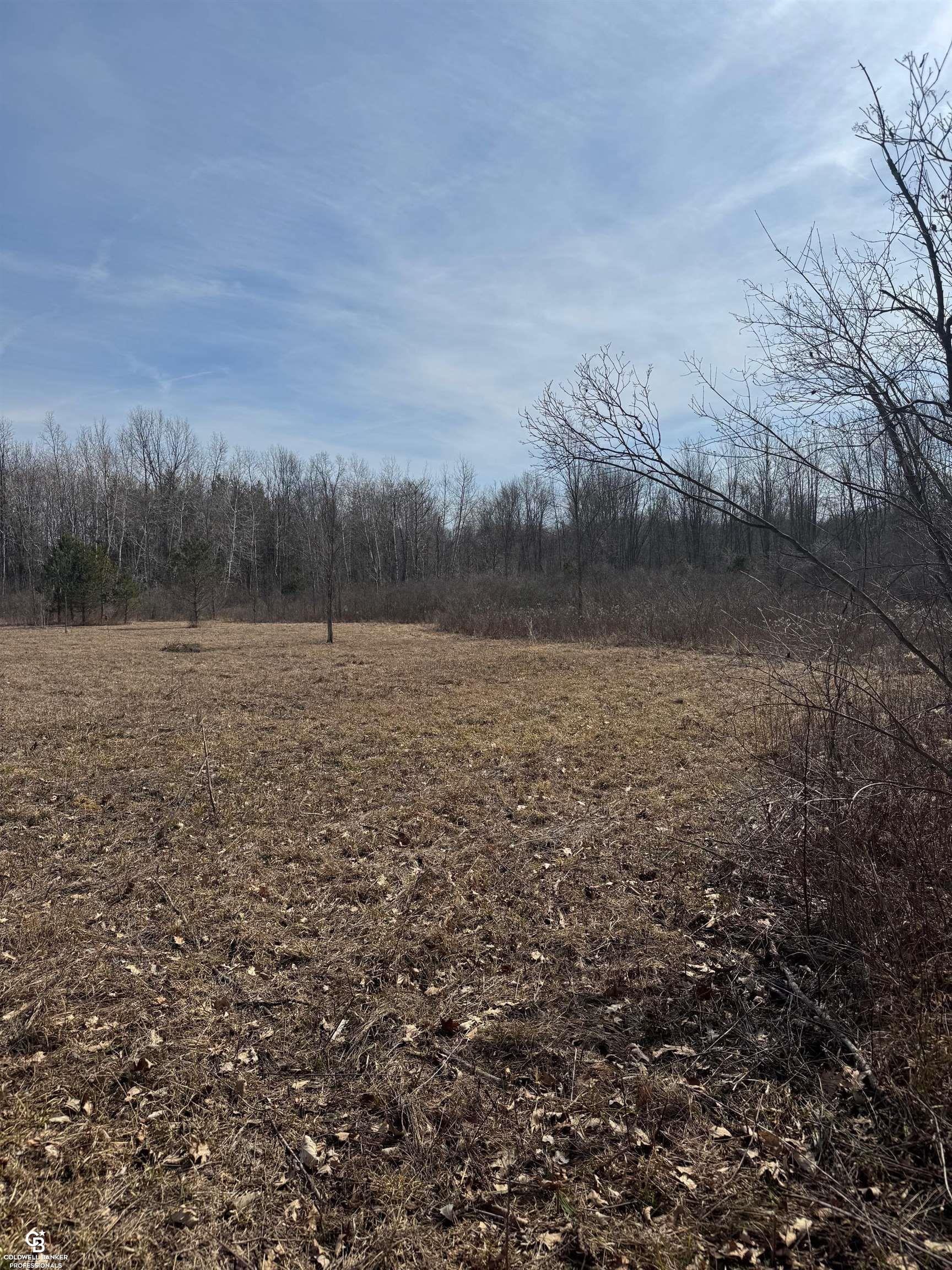 11105 Bryce Road Emmett, MI 48022 - Photo 32 of 44 50169414-8190872b-d7c4-4a8e-aa96-33c6562438dd.JPG