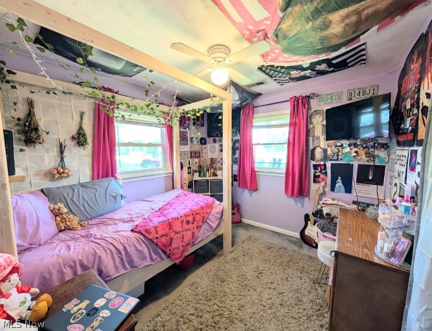 6700 McCaslin Road Nashport, OH 43830 - Photo 26 of 30 Carpeted room featuring a ceiling fan, two windows, and light purple wall paint