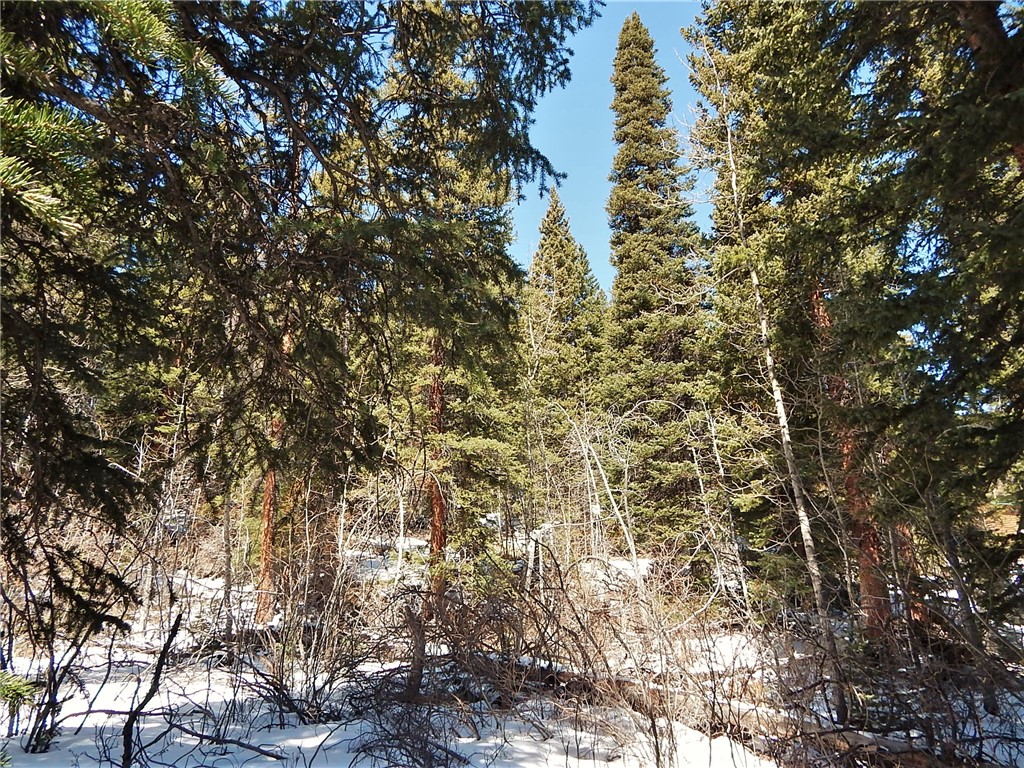 589 Mine Dump Road Alma, CO 80420 - Photo 6 of 26 Gallery Image 6