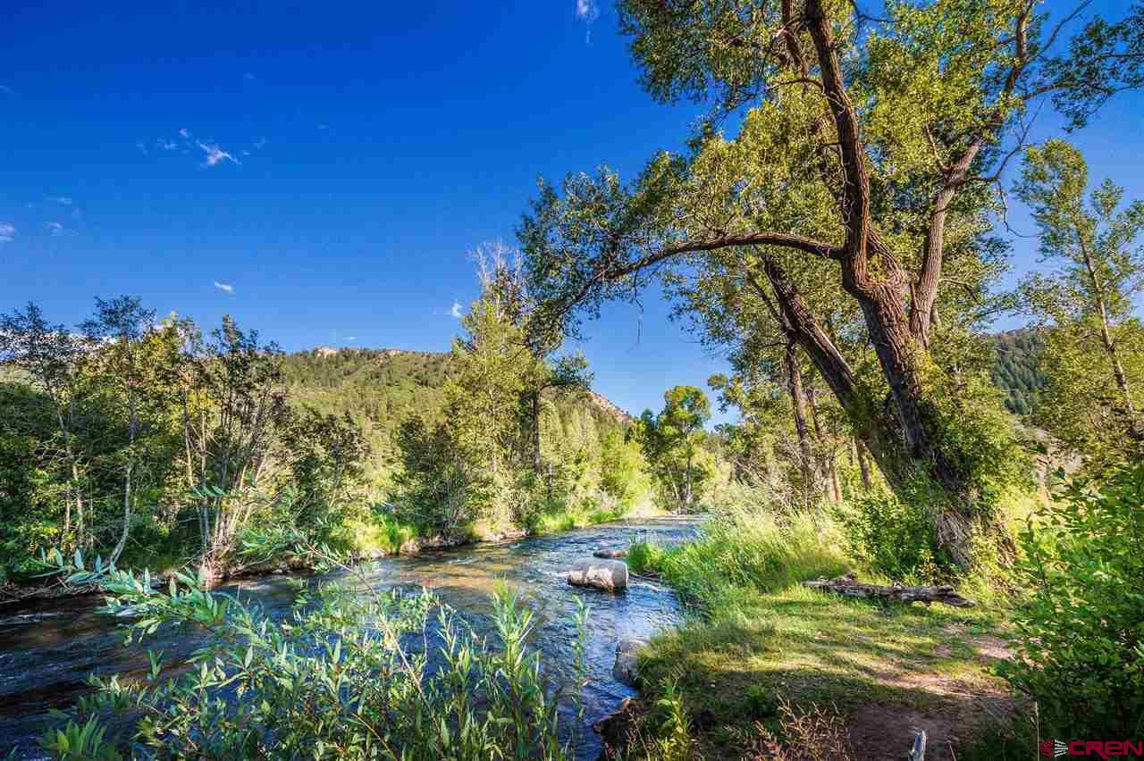 260 Edgemont Meadows Road Durango, CO 81301 - Photo 11 of 13 Gallery Image 11