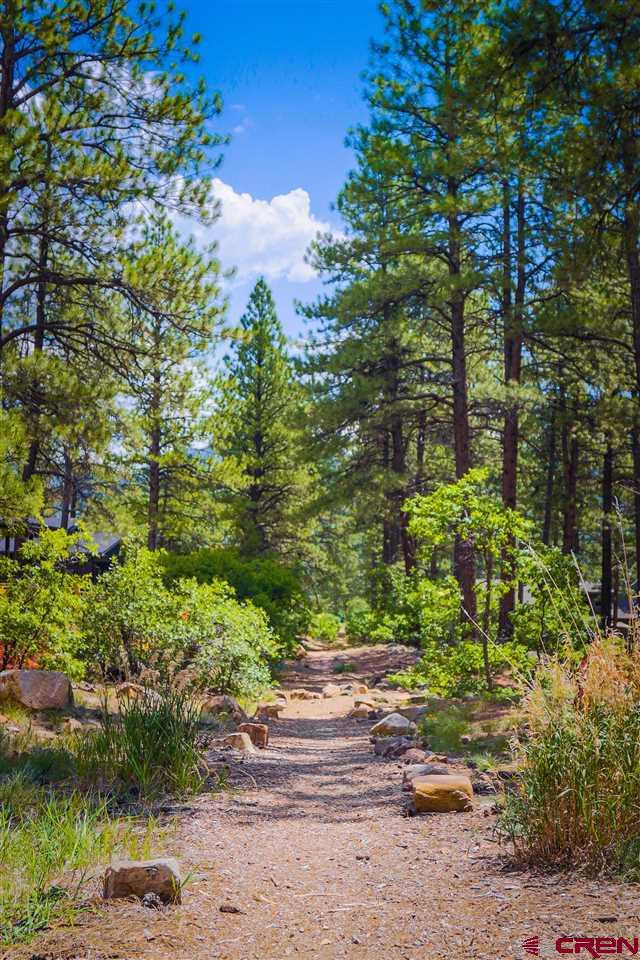 260 Edgemont Meadows Road Durango, CO 81301 - Photo 12 of 13 Gallery Image 12