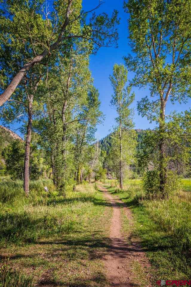 260 Edgemont Meadows Road Durango, CO 81301 - Photo 10 of 13 Gallery Image 10