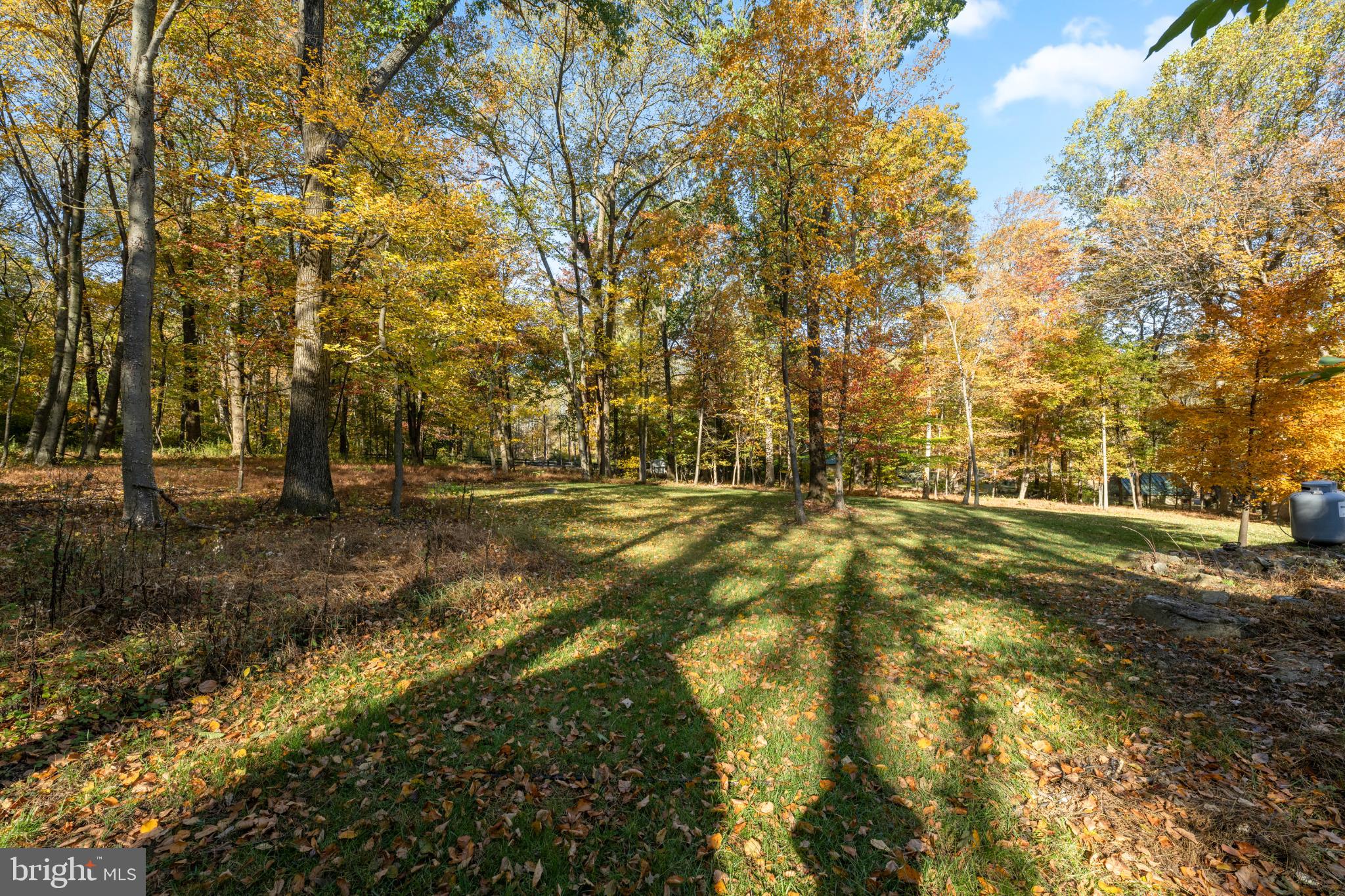 1623 Hilltop Road Spring City, PA 19475 - Photo 9 of 70 Autumn hues dance in a tranquil woodland.