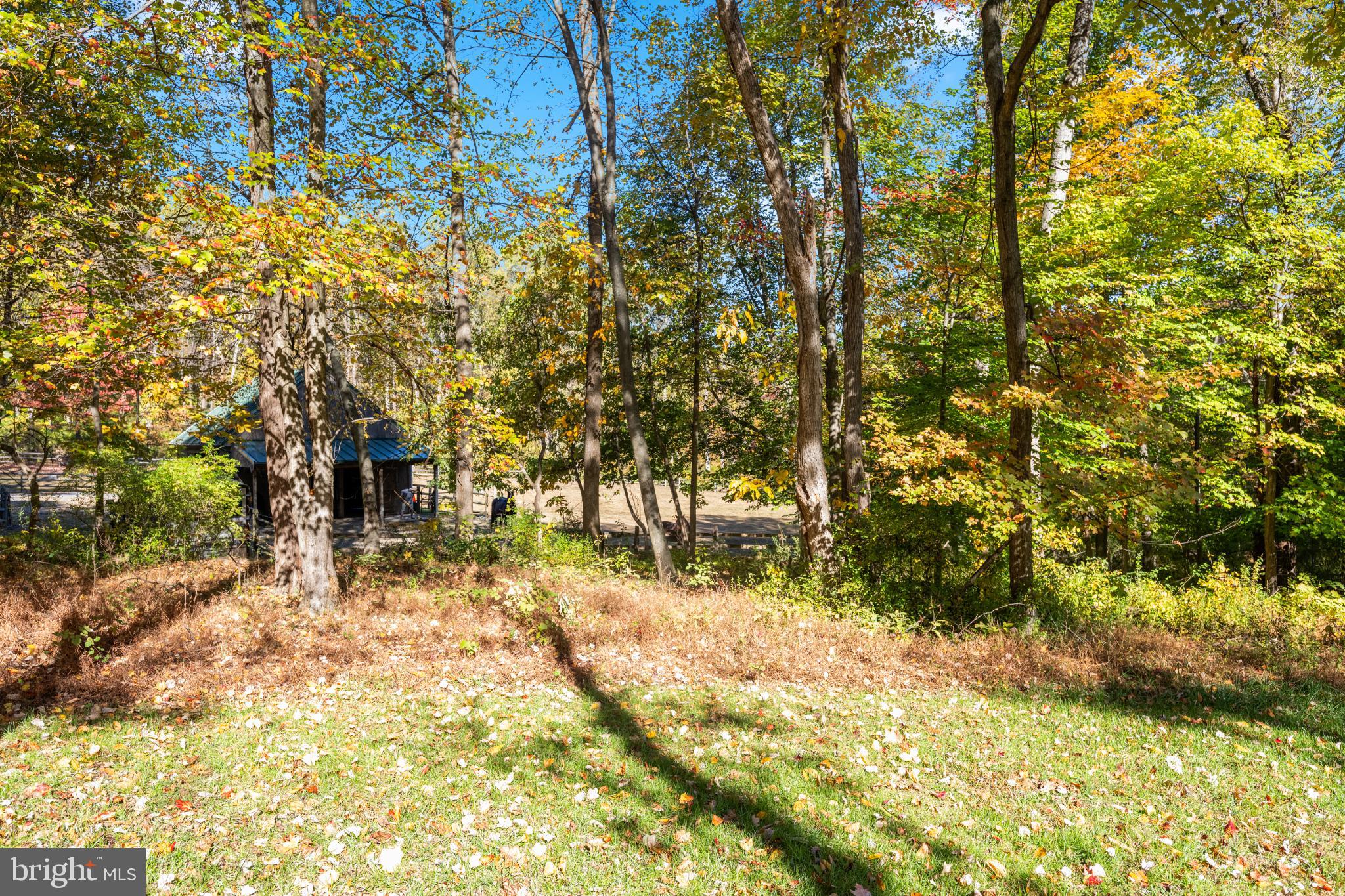 1623 Hilltop Road Spring City, PA 19475 - Photo 10 of 70 Serene woodland retreat in vibrant autumn hues.
