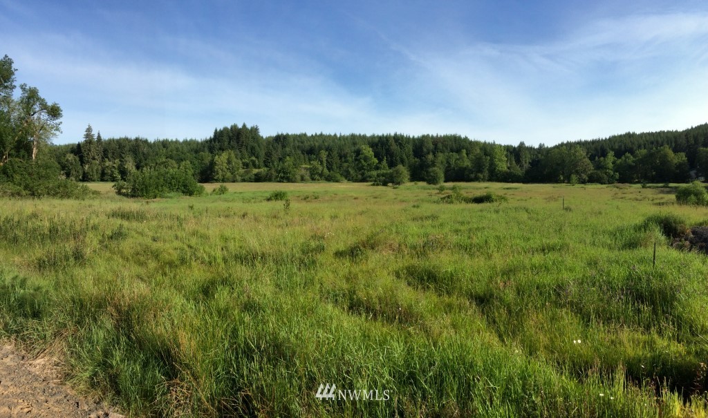 492 Bunker Road Chehalis, WA 98532 - Photo 1 of 14 Gallery Image 1