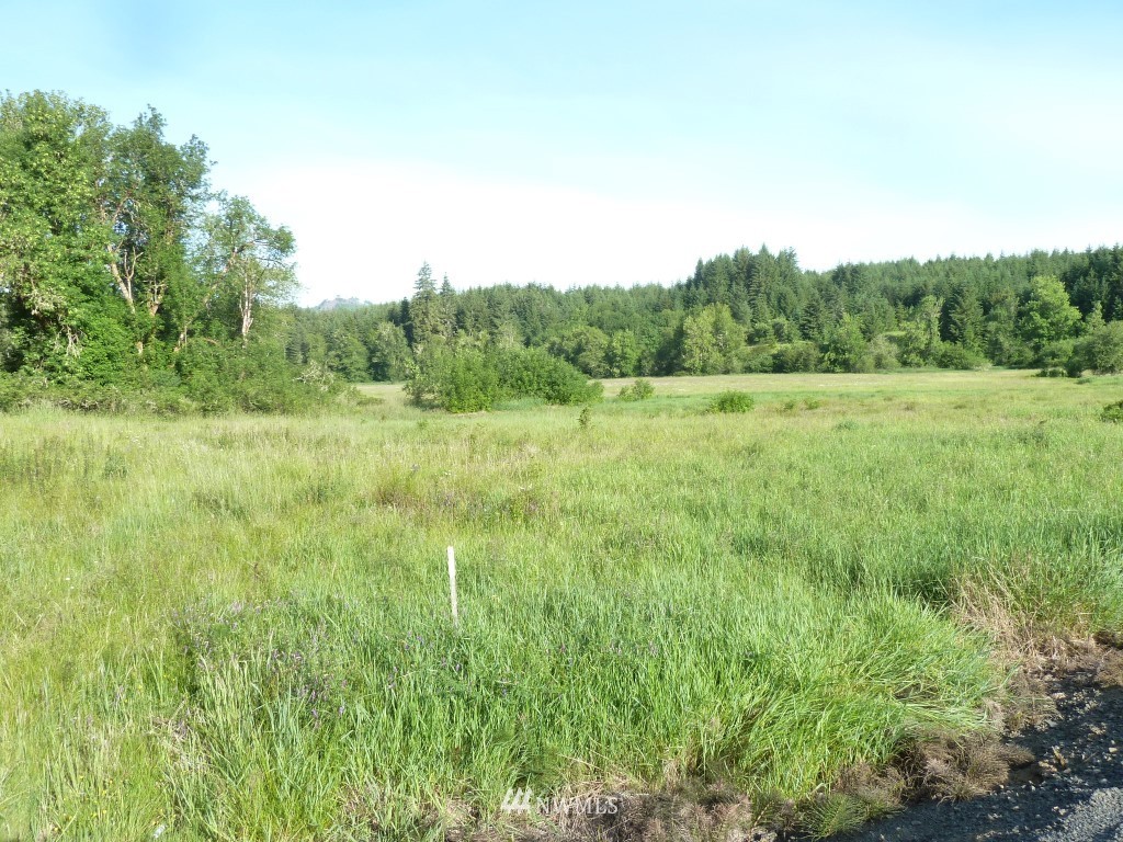 492 Bunker Road Chehalis, WA 98532 - Photo 2 of 14 Gallery Image 2