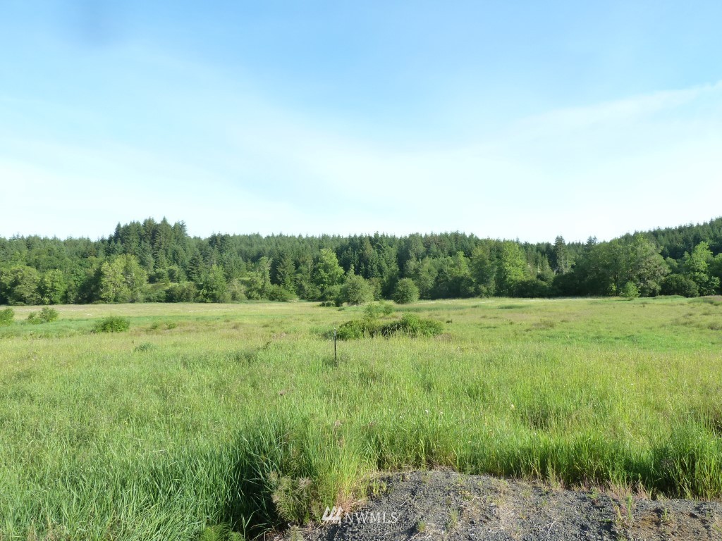492 Bunker Road Chehalis, WA 98532 - Photo 3 of 14 Gallery Image 3