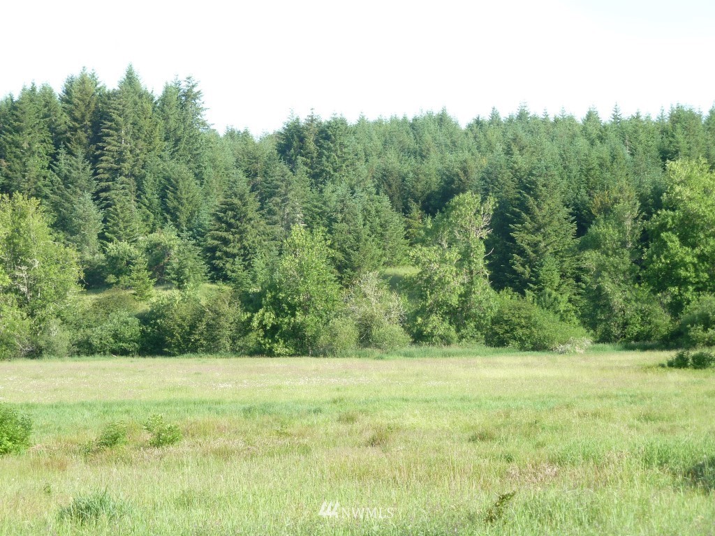 492 Bunker Road Chehalis, WA 98532 - Photo 4 of 14 Gallery Image 4