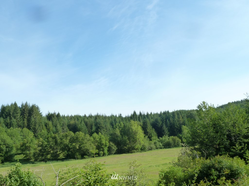 492 Bunker Road Chehalis, WA 98532 - Photo 6 of 14 Gallery Image 6