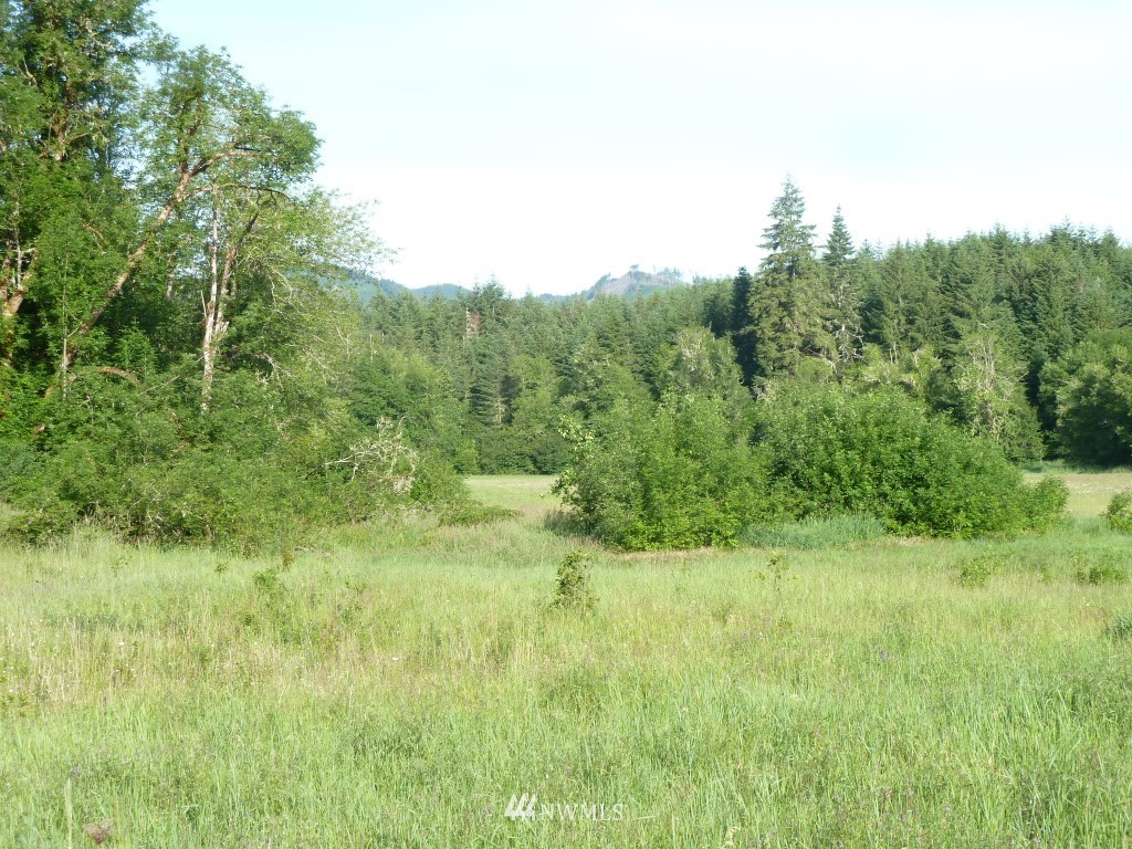 492 Bunker Road Chehalis, WA 98532 - Photo 7 of 14 Gallery Image 7
