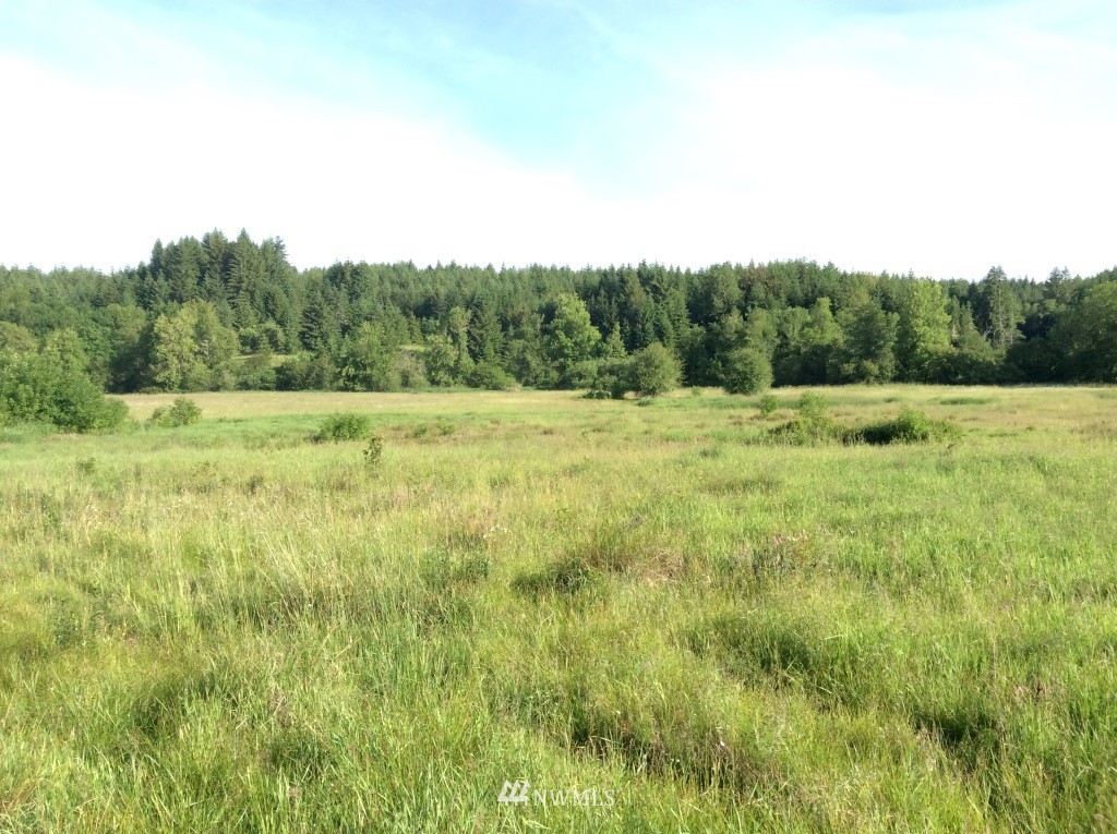 492 Bunker Road Chehalis, WA 98532 - Photo 10 of 14 Gallery Image 10