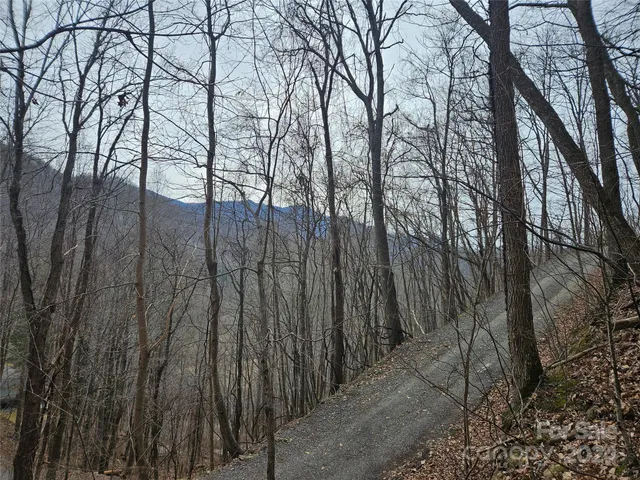 $39,500 | 0 Jade Drive, Unit 5&6, Clyde, NC 28721