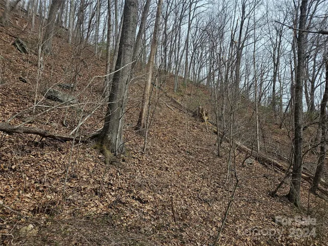 $39,500 | 0 Jade Drive, Unit 5&6, Clyde, NC 28721