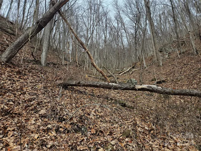 $39,500 | 0 Jade Drive, Unit 5&6, Clyde, NC 28721