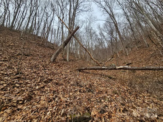 $39,500 | 0 Jade Drive, Unit 5&6, Clyde, NC 28721