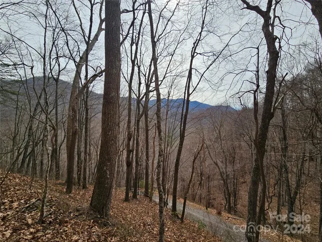 $39,500 | 0 Jade Drive, Unit 5&6, Clyde, NC 28721