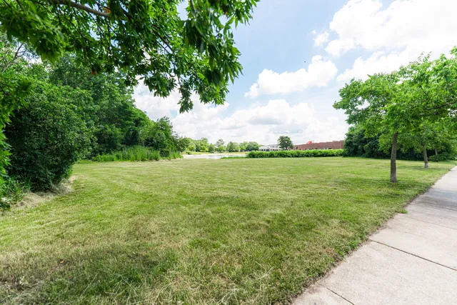 a view of a grassy field with trees