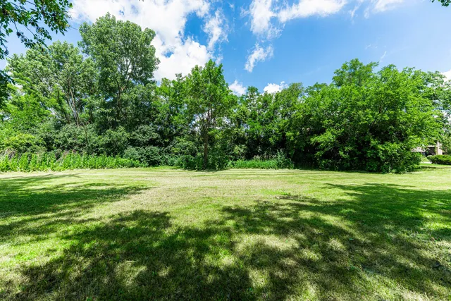 a view of a field with a tree