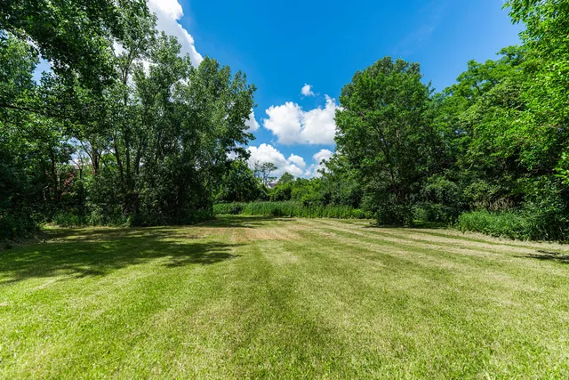 a view of a big yard with swimming pool and large trees