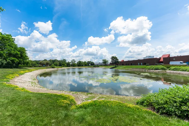 a view of a lake with a yard