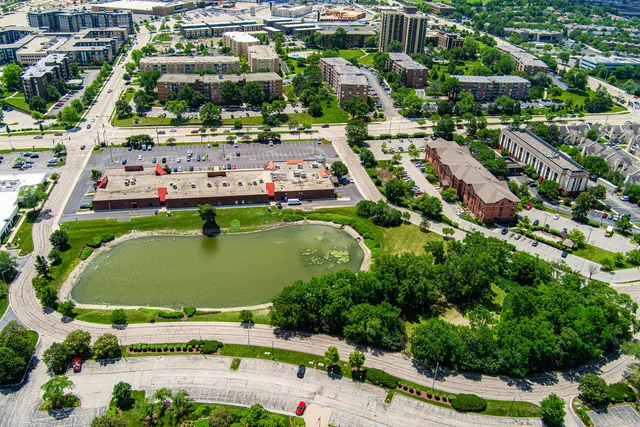 a view of yard with swimming pool