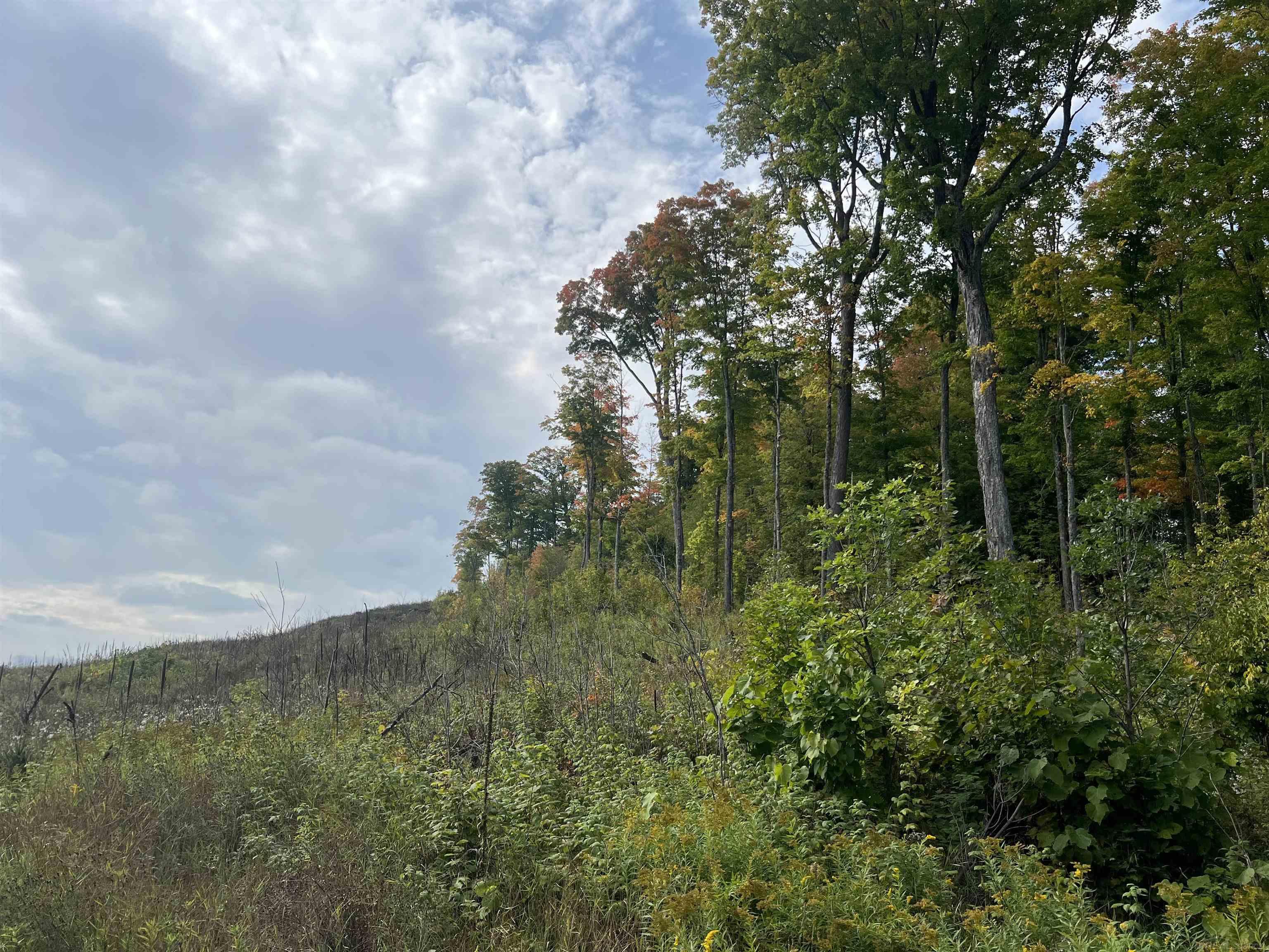 Xxx Ford River Road Felch, MI 49831 - Photo 23 of 32 Gallery Image 23