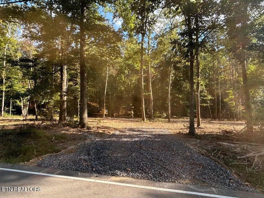 3 Pleasant Hill Road Ten Mile, TN 37880 - Photo 2 of 13