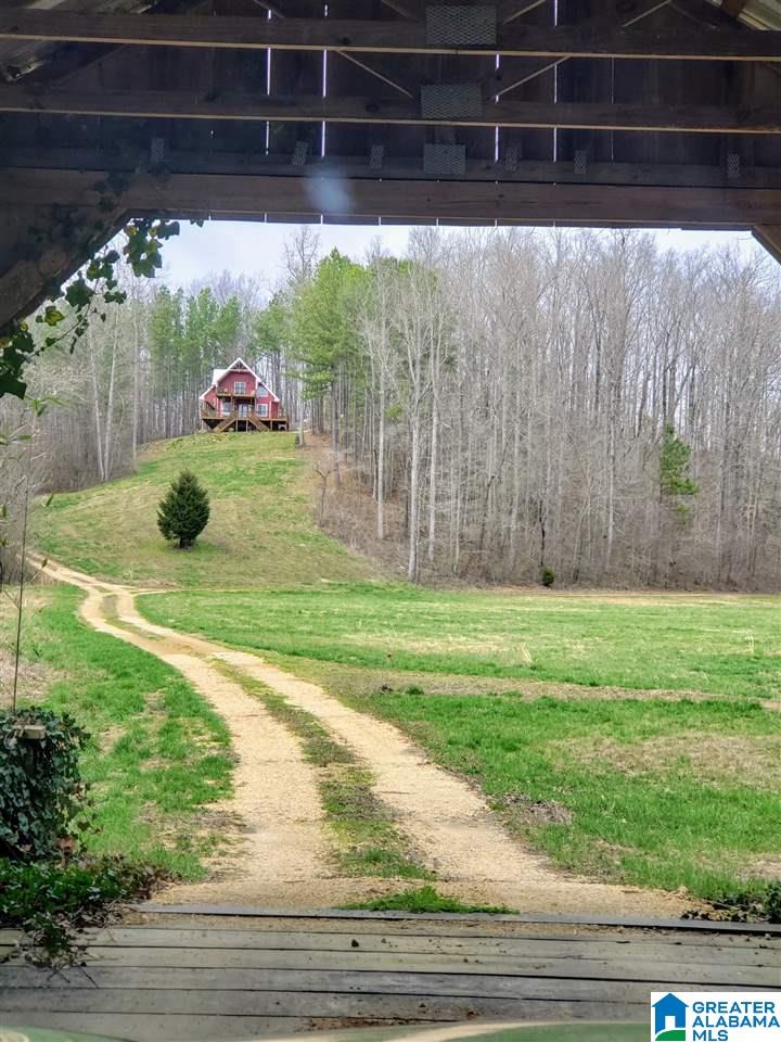 573 County Road 436 Fruithurst, AL 36262 - Photo 36 of 45