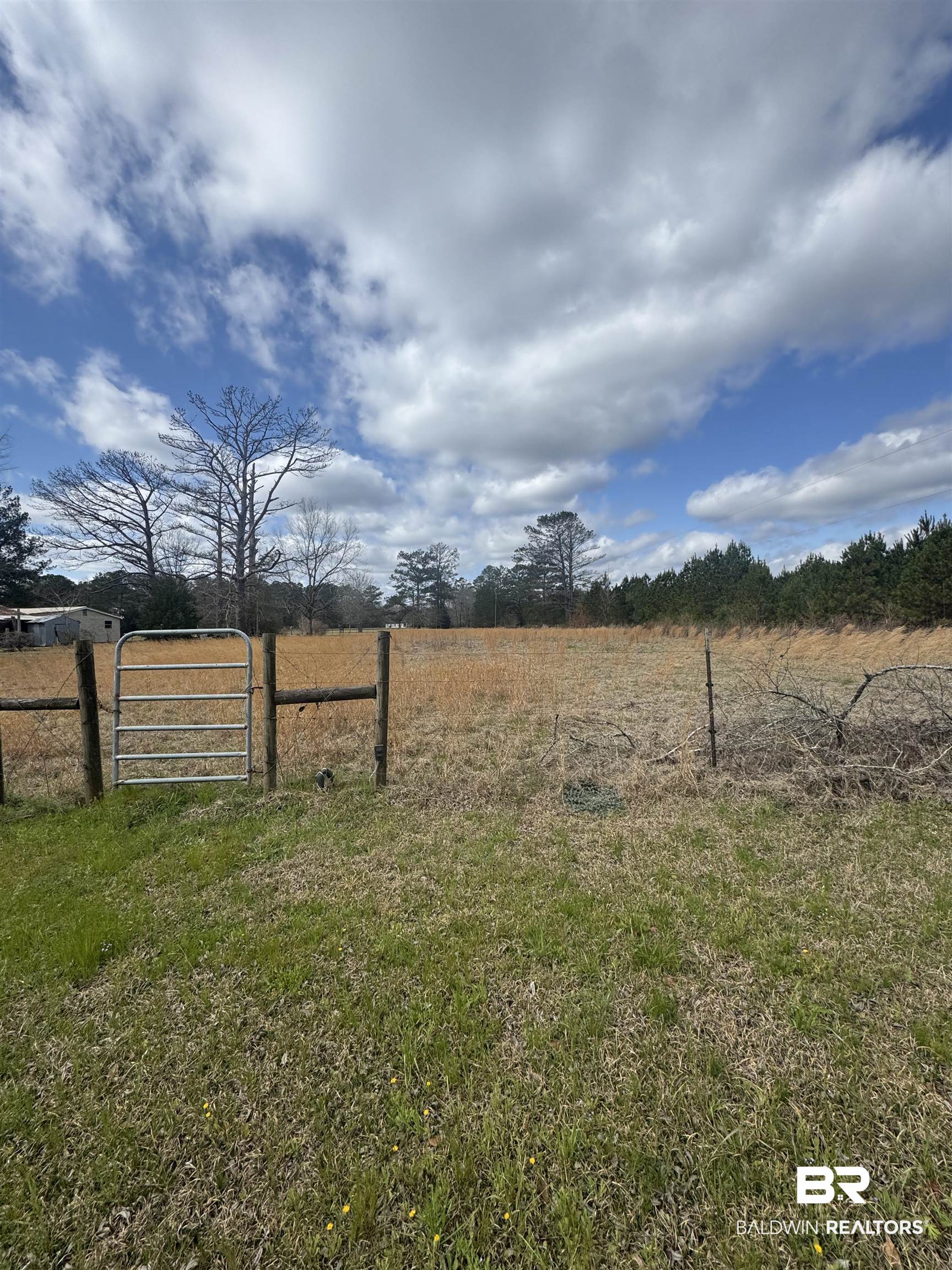 275 Thames Road Frisco City, AL 36445 - Photo 4 of 24
