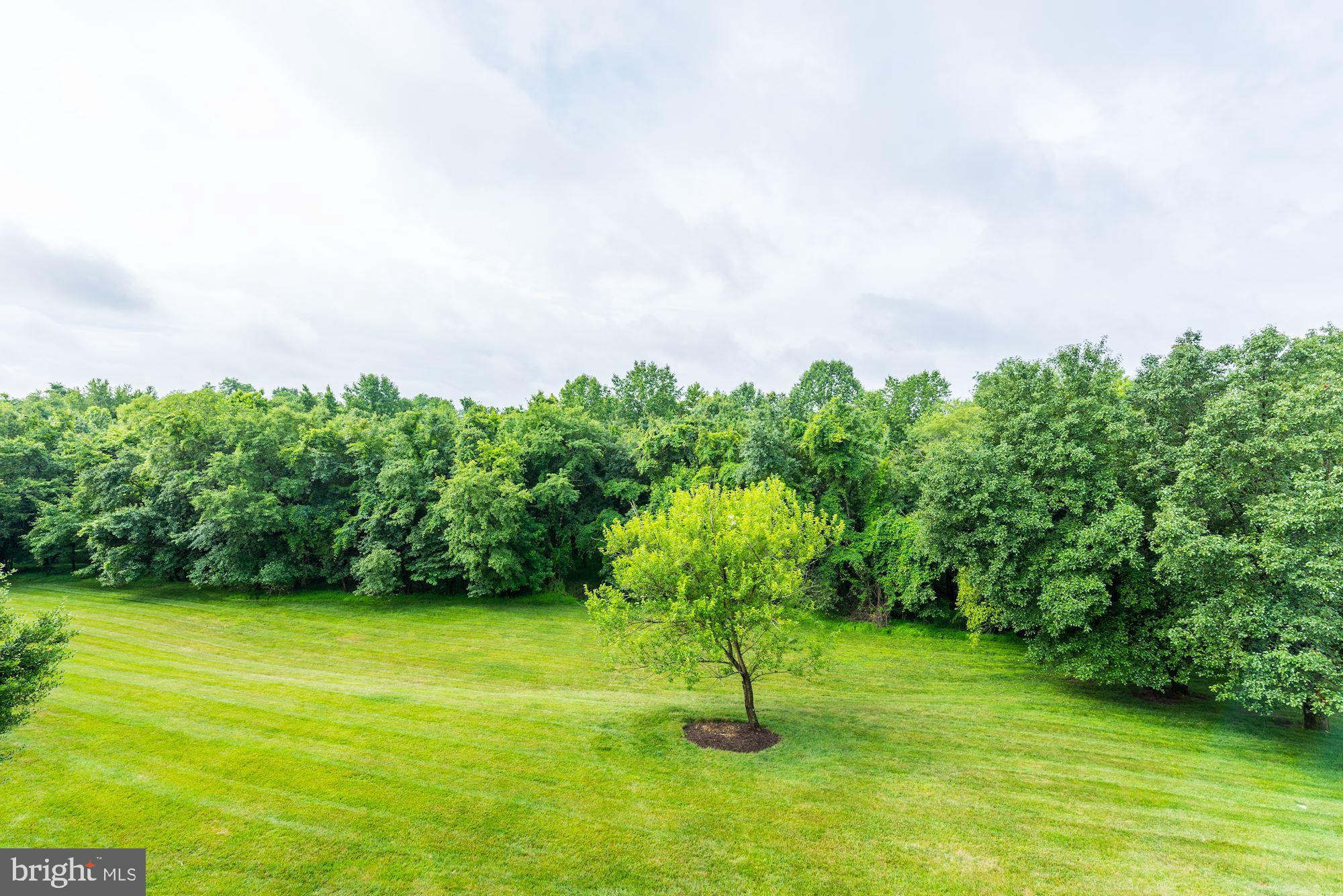 3240 Spriggs Request Way Bowie, MD 20721 - Photo 39 of 41 Backyard