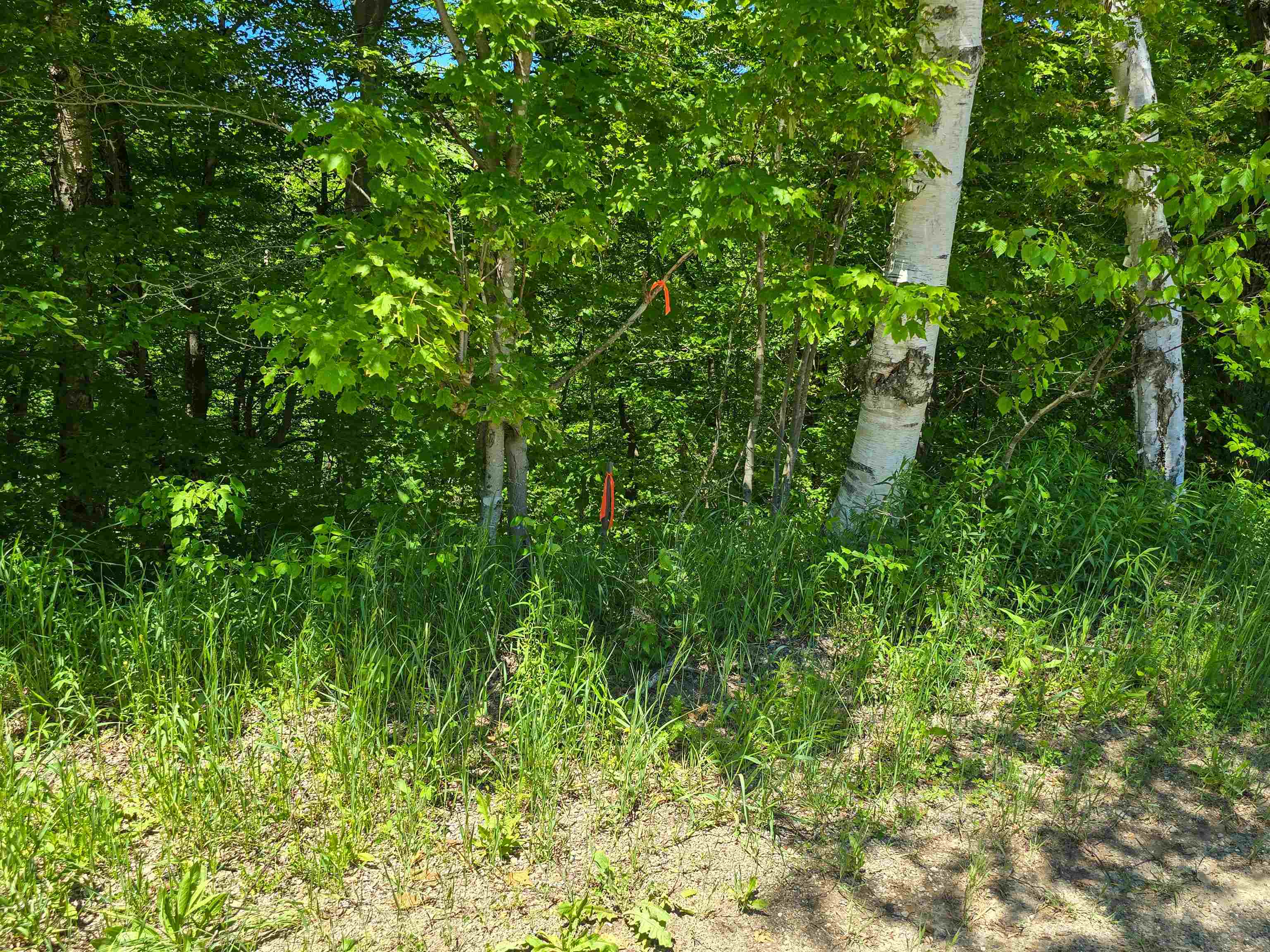 625 French Settlement Road Lincoln, VT 05443 - Photo 9 of 25