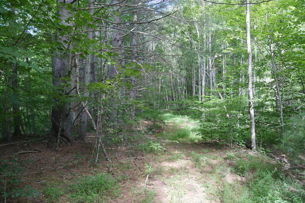 4163 Lick Creek Road Birchleaf, VA 24220 - Photo 63 of 86 Gallery Image 63