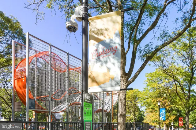 a view of street with large trees