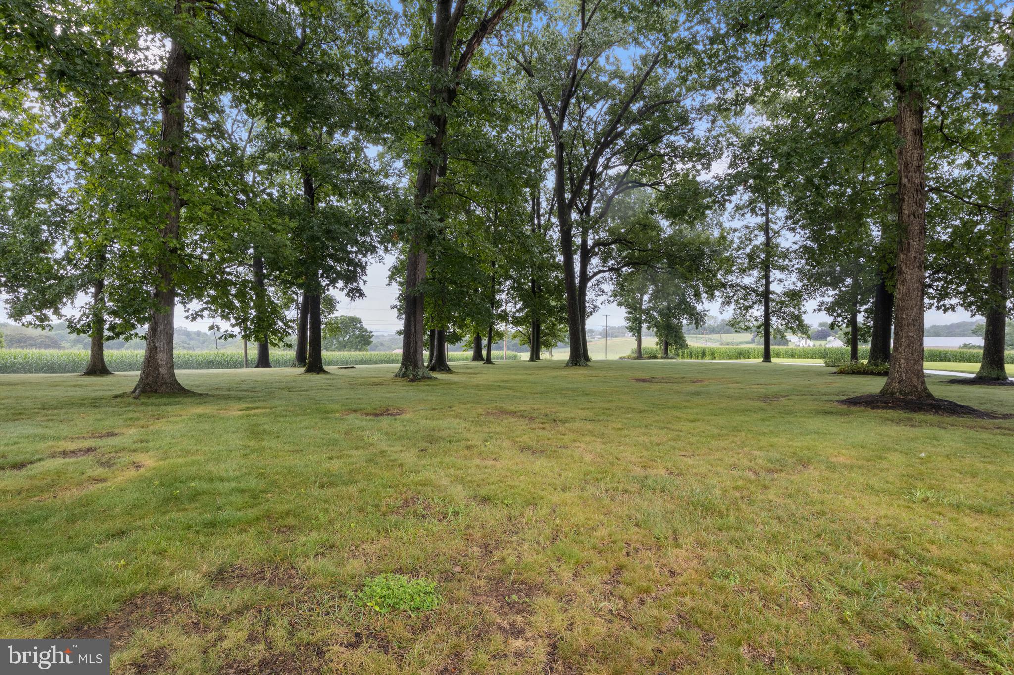 4850 Delta Road Delta, PA 17314 - Photo 59 of 74 a huge green field with lots of trees